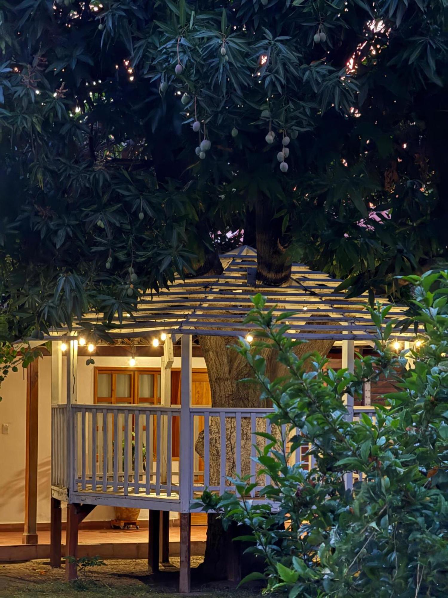 Hotel Jardin Boutique Rodadero Santa Marta  Exteriör bild