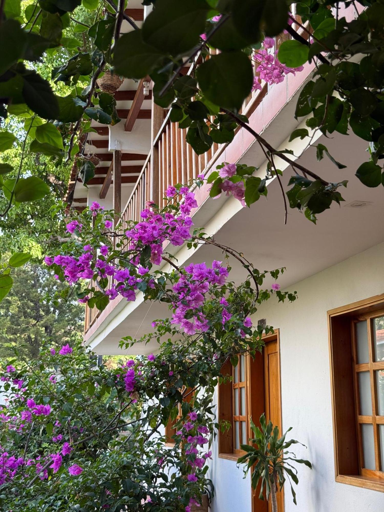 Hotel Jardin Boutique Rodadero Santa Marta  Exteriör bild